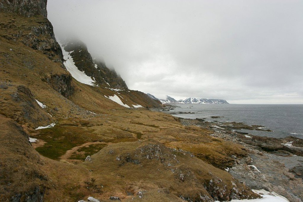 Zeilschip de Antigua vaart langs de kust van Spitsbergen tijdens de groepsrondreis van Aberdeen naar Spitsbergen.