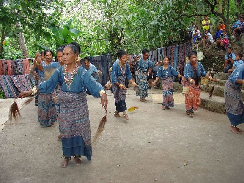 Traditionele dans op het eiland Sumba tijdens groepsrondreis Kleine Sunda eilanden, Indonesië.