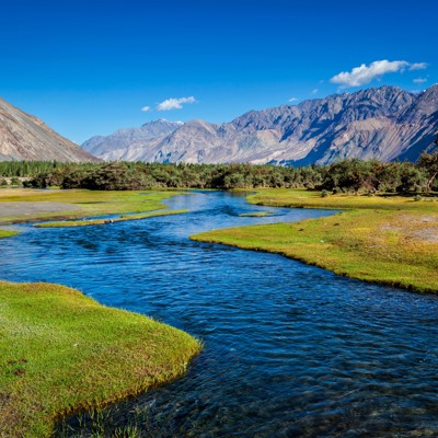 Rivierlandschap in de Nubra Vallei met groene oevers en bergen onder een heldere blauwe lucht.