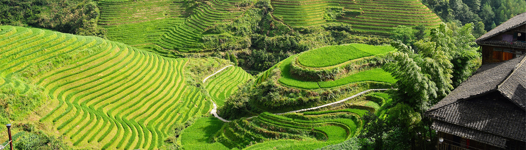 Groene rijstterrassen in de bergen tijdens groepsrondreis China & Vietnam.