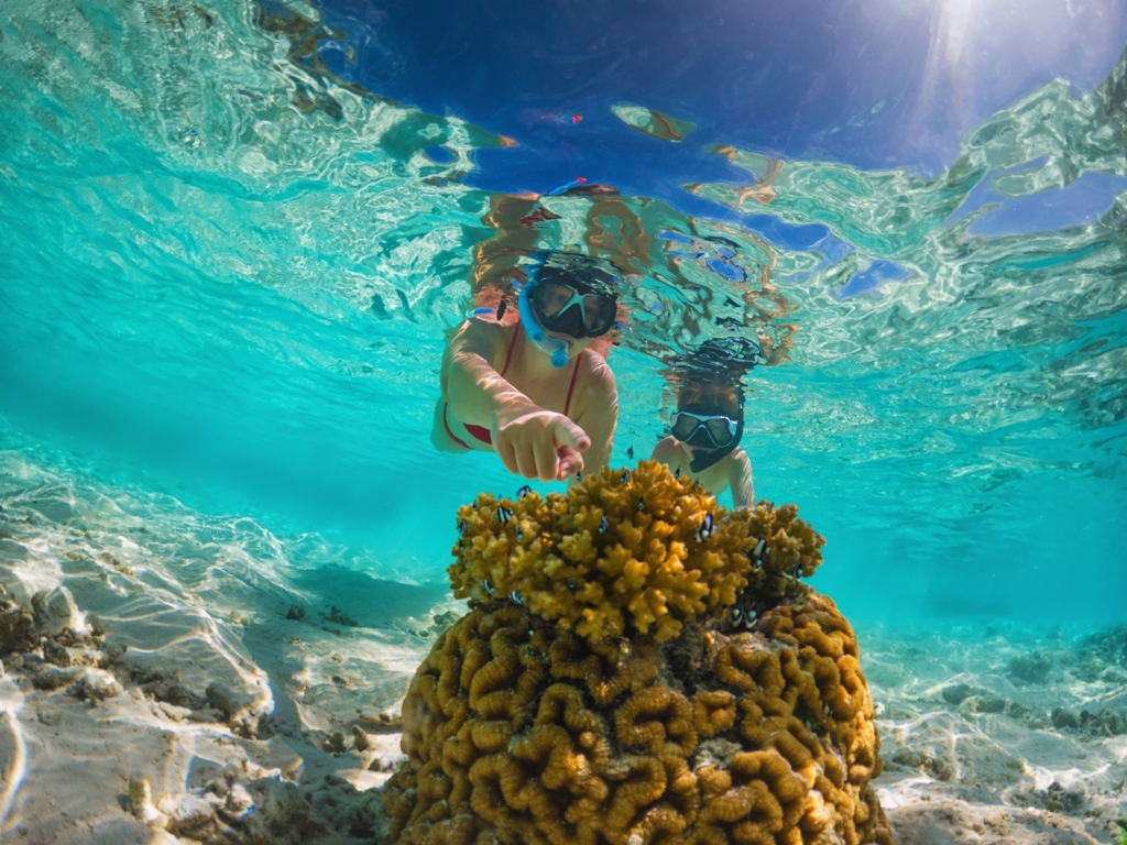 Snorkelaars bekijken koraal en tropische vissen in helderblauw water bij de Malediven tijdens een familiereis.