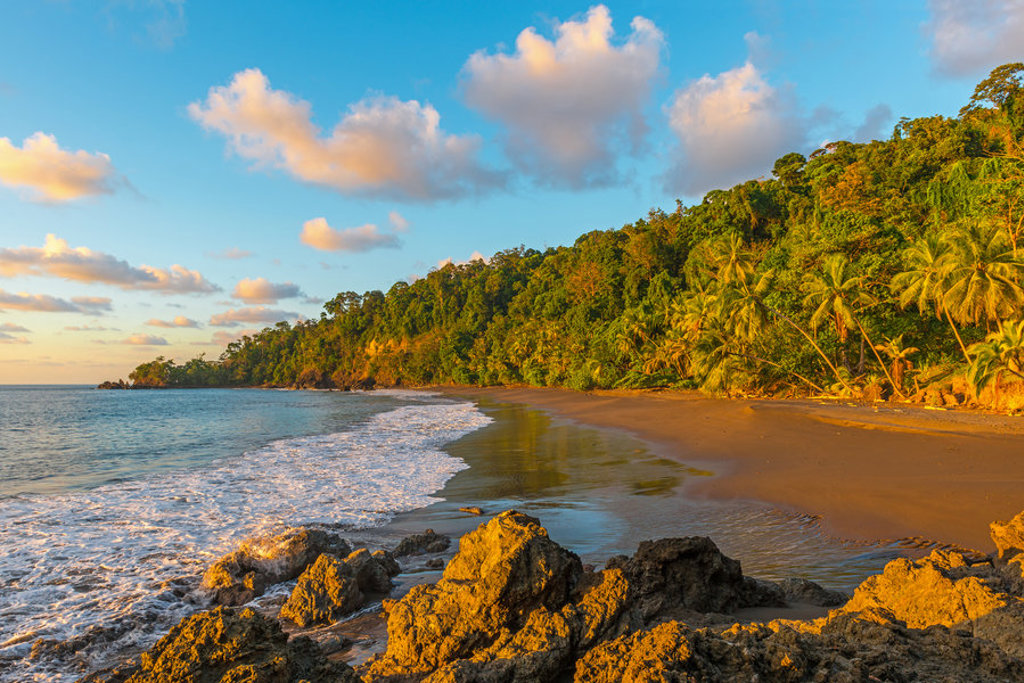 Tropisch strand in Costa Rica met palmbomen, rotsen en golven bij zonsondergang.