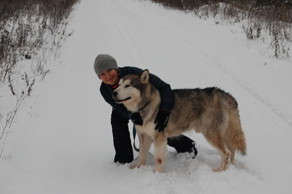Reiziger knuffelt een husky in de sneeuw tijdens groepsrondreis Rusland winter.