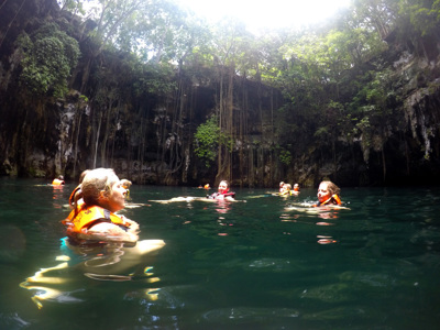 Gezin zwemt in een cenote met helder water en hangende wortels, tijdens de familiereisroute door Mexico.