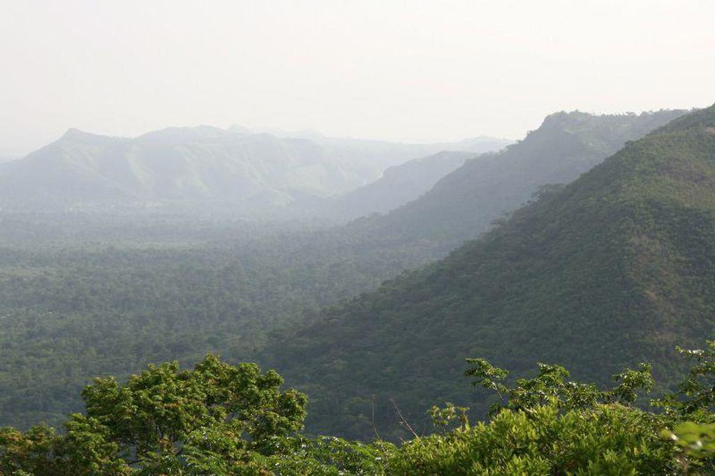Groene achtergrond met horizontale strepen voor Groepsrondreis Ghana, Togo en Benin.