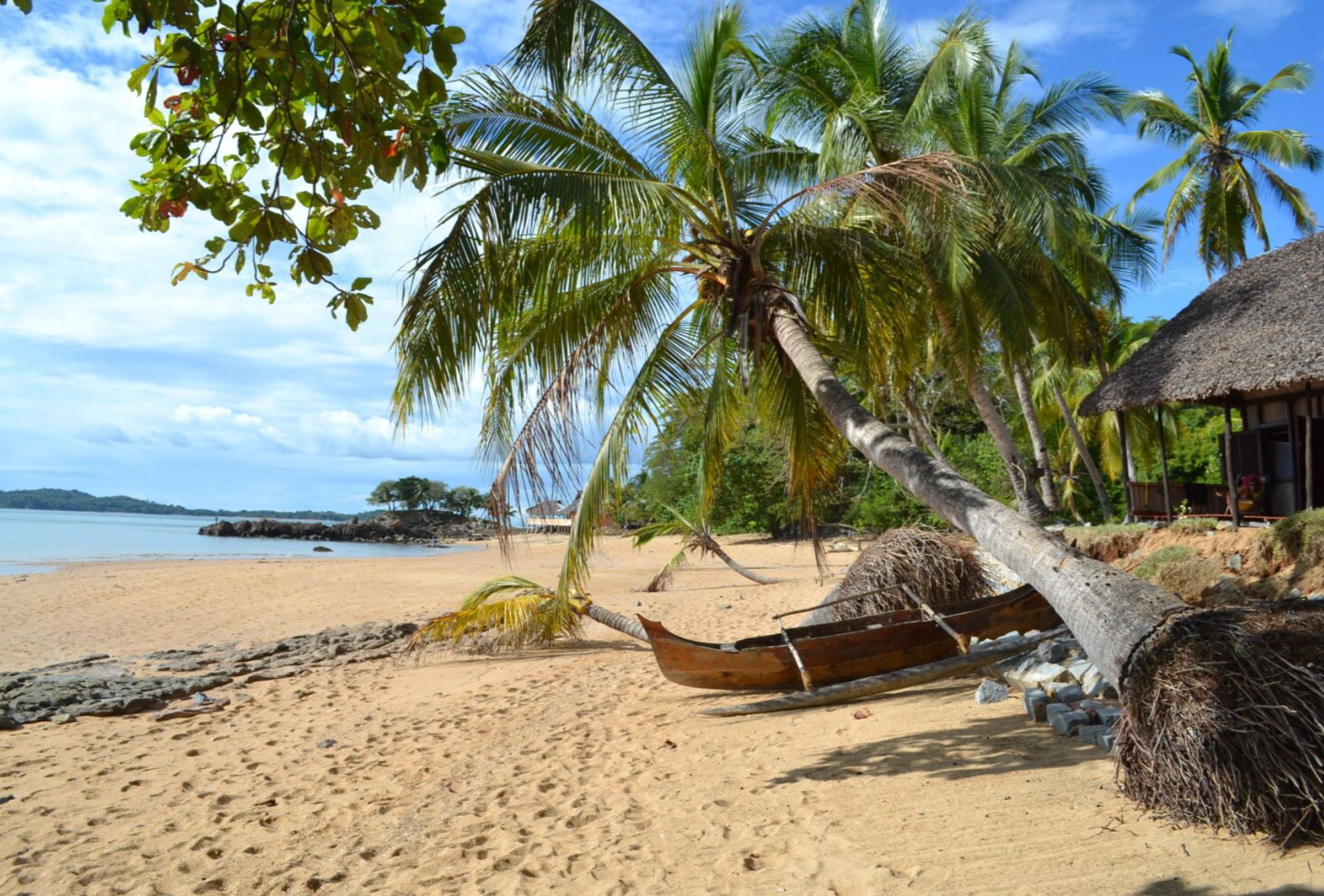 Palmbomen en houten vissersboot op een rustig zandstrand in Madagascar.