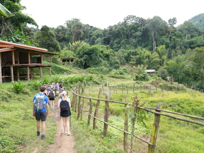 Groep wandelaars op een pad langs rijstvelden en jungleheuvels in Thailand.