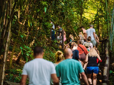 Groep wandelaars op een bosrijk pad tijdens de Route Thailand, dag 9.