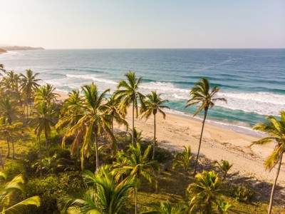 Palmen langs een rustig zandstrand aan de Caribische kust van Colombia.