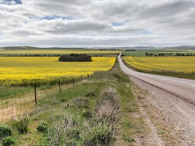 Lange weg door uitgestrekte gele koolzaadvelden in Australië, onder een bewolkte lucht.