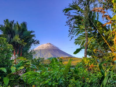 Arenal-vulkaan in Costa Rica, omringd door tropisch regenwoud en palmbomen onder een heldere blauwe lucht.