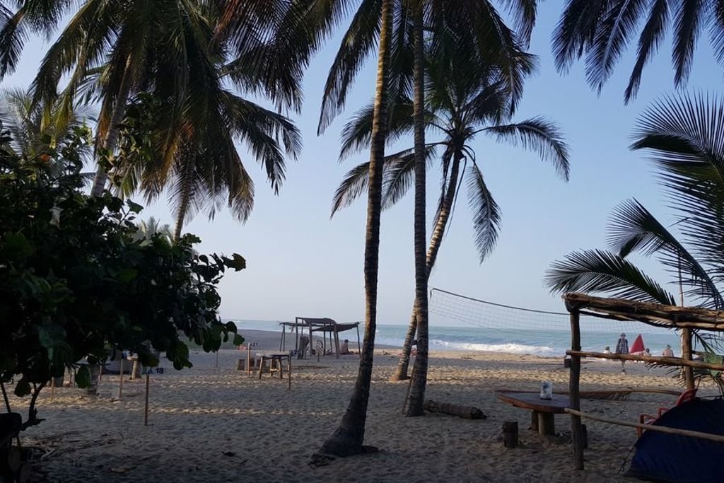 Palmbomen op een wit zandstrand aan de Caribische kust van Colombia tijdens een groepsrondreis.