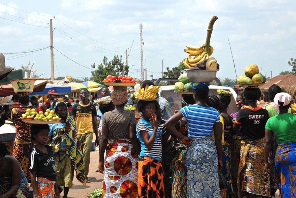 Giraffe tussen bomen in een nationaal park tijdens groepsrondreis Ghana, Togo en Benin.