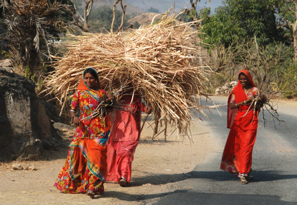 Vrouwen in kleurrijke sari’s dragen bundels riet over een landelijke weg in India.