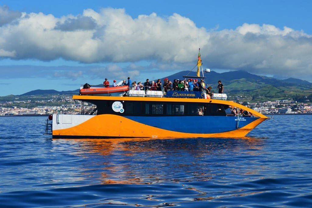 Walvisspotten vanaf een boot tijdens een familiereis op de Azoren.