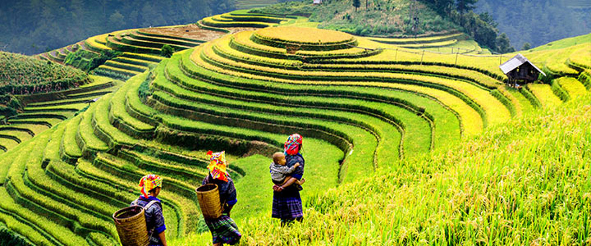 Rijstterrassen in Vietnam Rijstterrassen in de bergen met drie vrouwen in traditionele kleding, één met een kind op de arm.