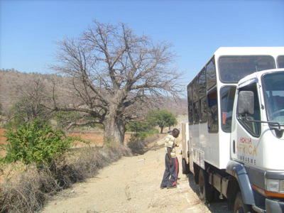 Overlandbus op een hobbelige zandweg in Zimbabwe, met baobabboom langs de route.