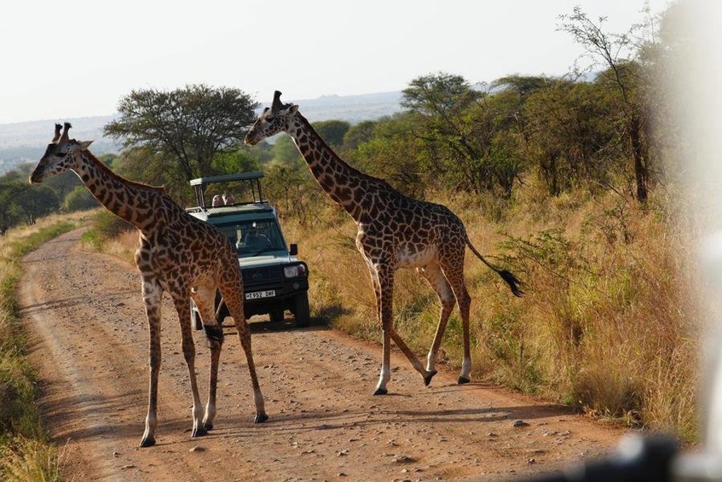 Rieten safari-tenten in een lodge tijdens groepsrondreis Kenia en Tanzania Totaal.