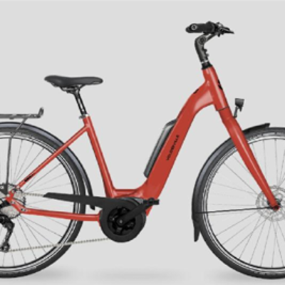 Rode huurfiets e-bike voor de fietsreis langs de Donau of van Praag naar Wenen.