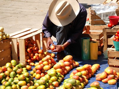 Marktverkoper sorteert mango’s op een kleed tussen houten kratten tijdens de Route Ruta Maya.