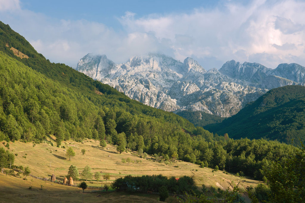 Groene vallei met bossen en ruige bergtoppen in Montenegro tijdens de familiereis Zuid-Oost Europa.