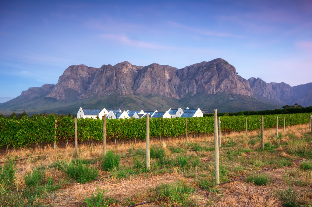 Wijngaarden met witte boerderijen aan de voet van de bergen bij Stellenbosch, Zuid-Afrika.