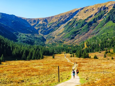 Wandelaars op bergpad door groene vallei in Centraal Europa, met bossen en berghellingen op de achtergrond.