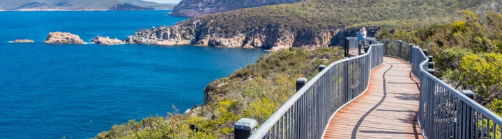 Uitzichtpunt met houten wandelpad langs de kust in Freycinet National Park, Tasmanië.