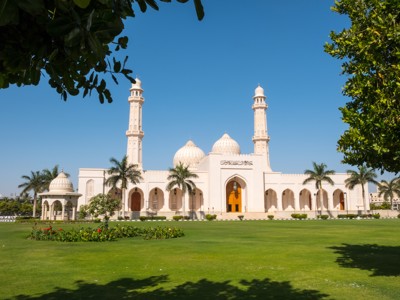 Witte moskee met koepels en minaretten in Dubai, omringd door palmbomen en een groene tuin.