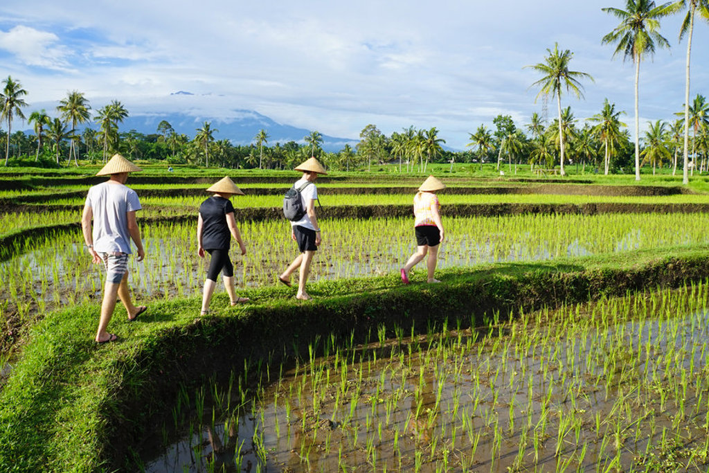 Reizigers wandelen langs rijstvelden op Bali tijdens een groepsrondreis Java & Bali Hoogtepunten.