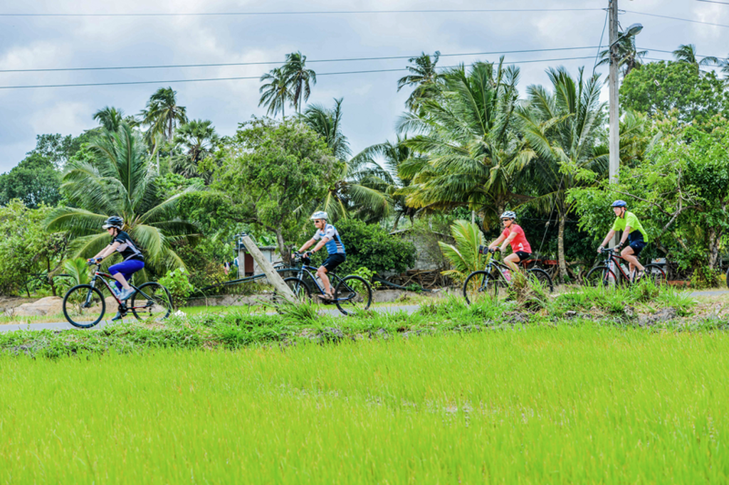 Fietsers tijdens een fietsvakantie in Sri Lanka langs rijstvelden en palmbomen.