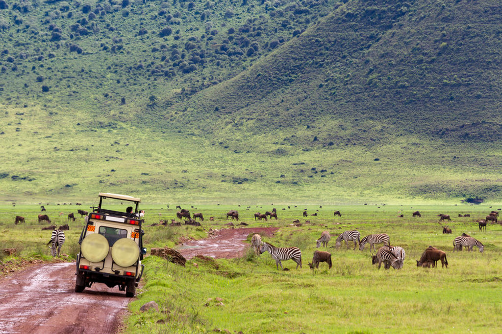 Safari-jeep op savanne met zebra’s en gnoes tijdens groepsrondreis Kenia en Tanzania.