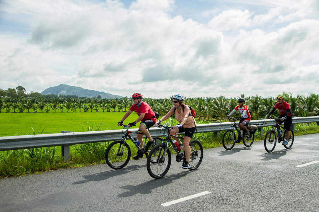 Groep fietsers tijdens een fietsvakantie in Vietnam langs groene rijstvelden en palmbomen.