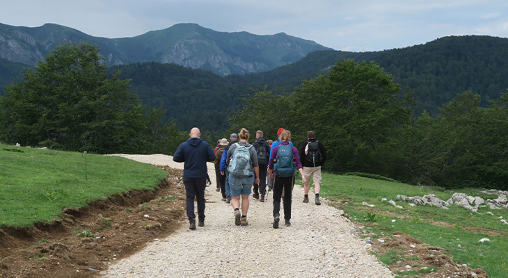 Wandelreis Montenegro Groep wandelaars met rugzakken op een grindpad door groene heuvels, met bergen op de achtergrond.