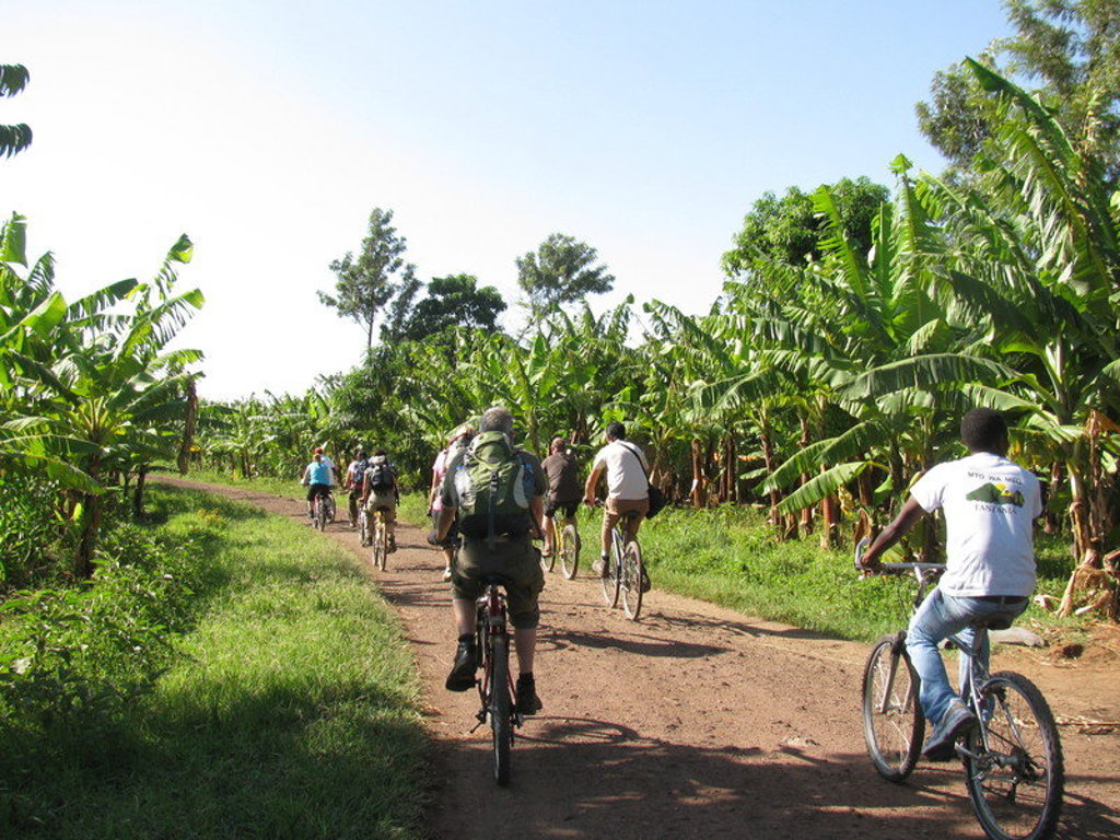 Fietstocht over een zandpad langs bananenplantages tijdens een groepsrondreis in Kenia, Tanzania en Zanzibar.