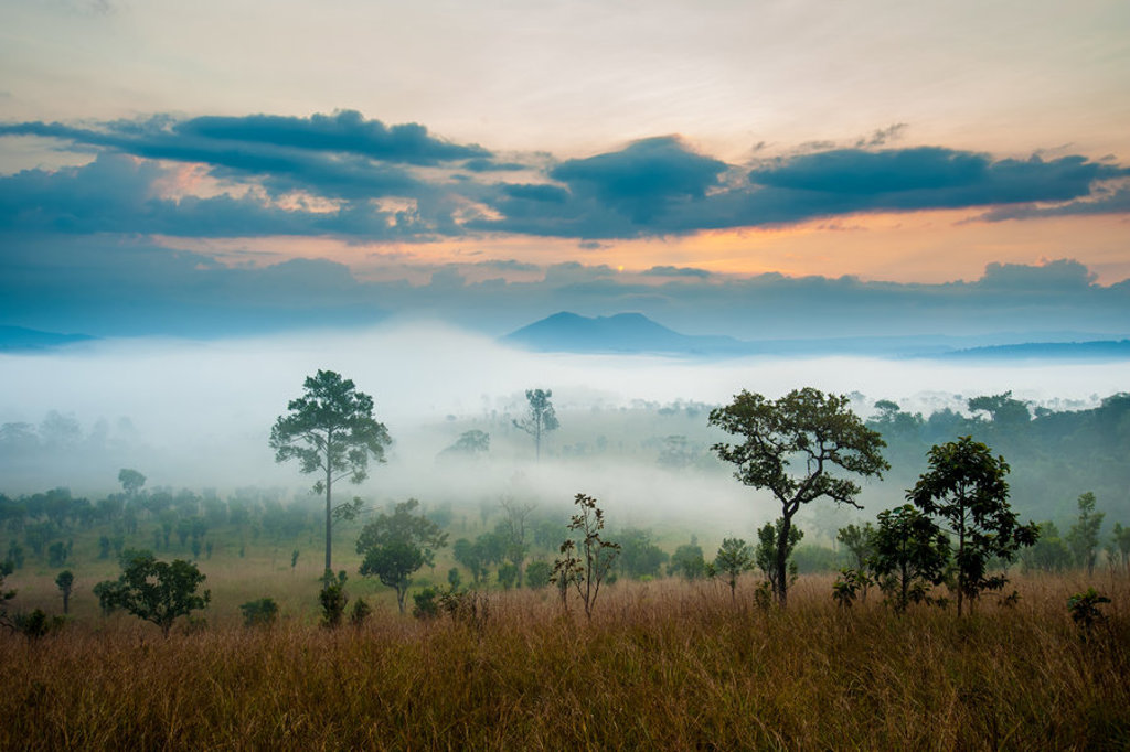 Mistig savannelandschap bij zonsopkomst in Noordelijk Zuid-Afrika en eSwatini, met bomen en bergen in de verte.