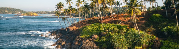 Palmen langs de rotsachtige kust bij Mirissa, Sri Lanka, met golven en helderblauwe zee.