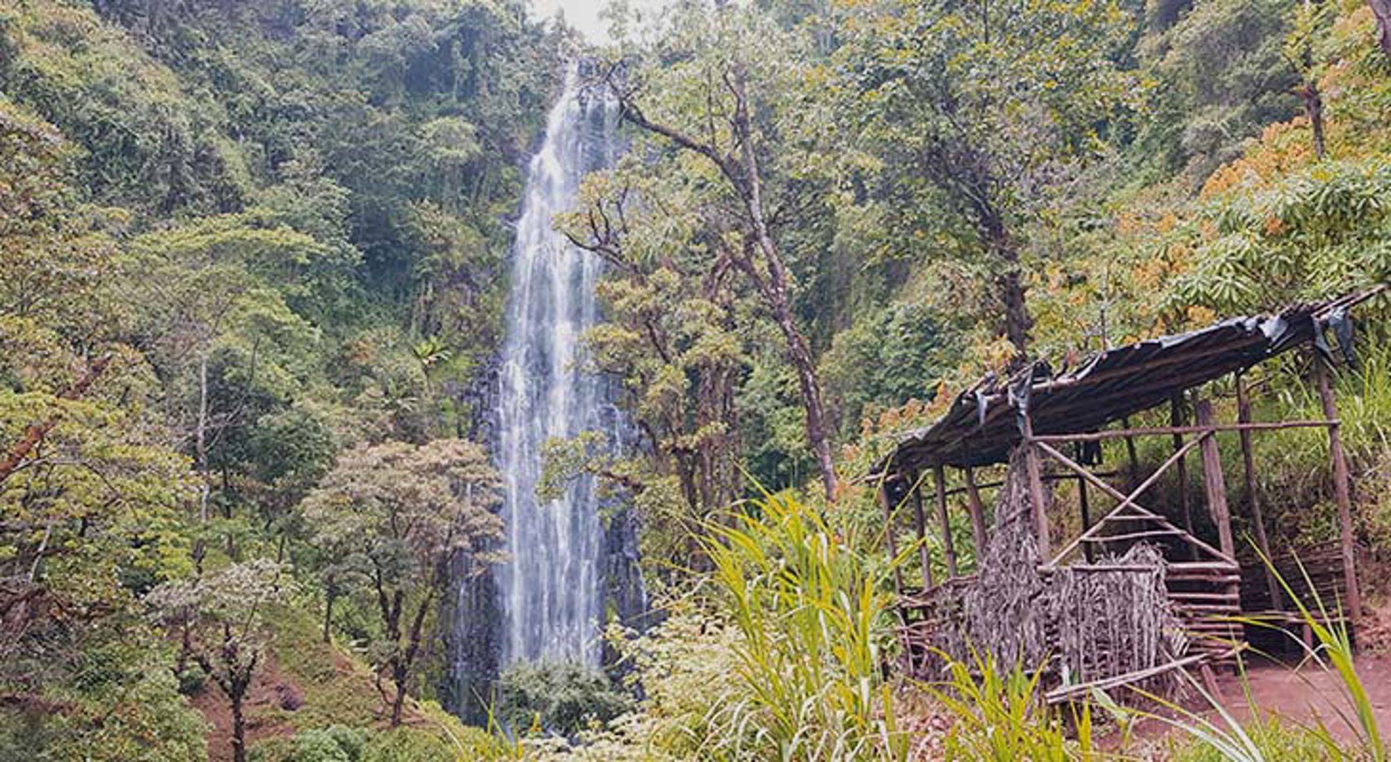 Materuni watervallen Baobabboom in de savanne van Tanzania bij zonsondergang.