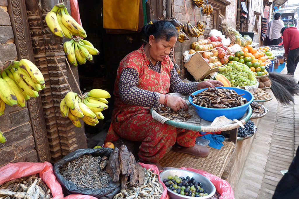 Vrouw verkoopt gedroogde vis en vers fruit op een markt tijdens een familiereis India en Nepal.