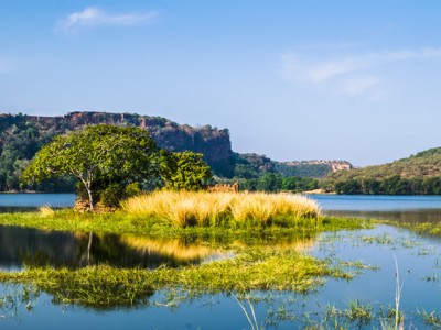Groene oever met boom en riet in rustig meer, met heuvels op de achtergrond in Noord-India.