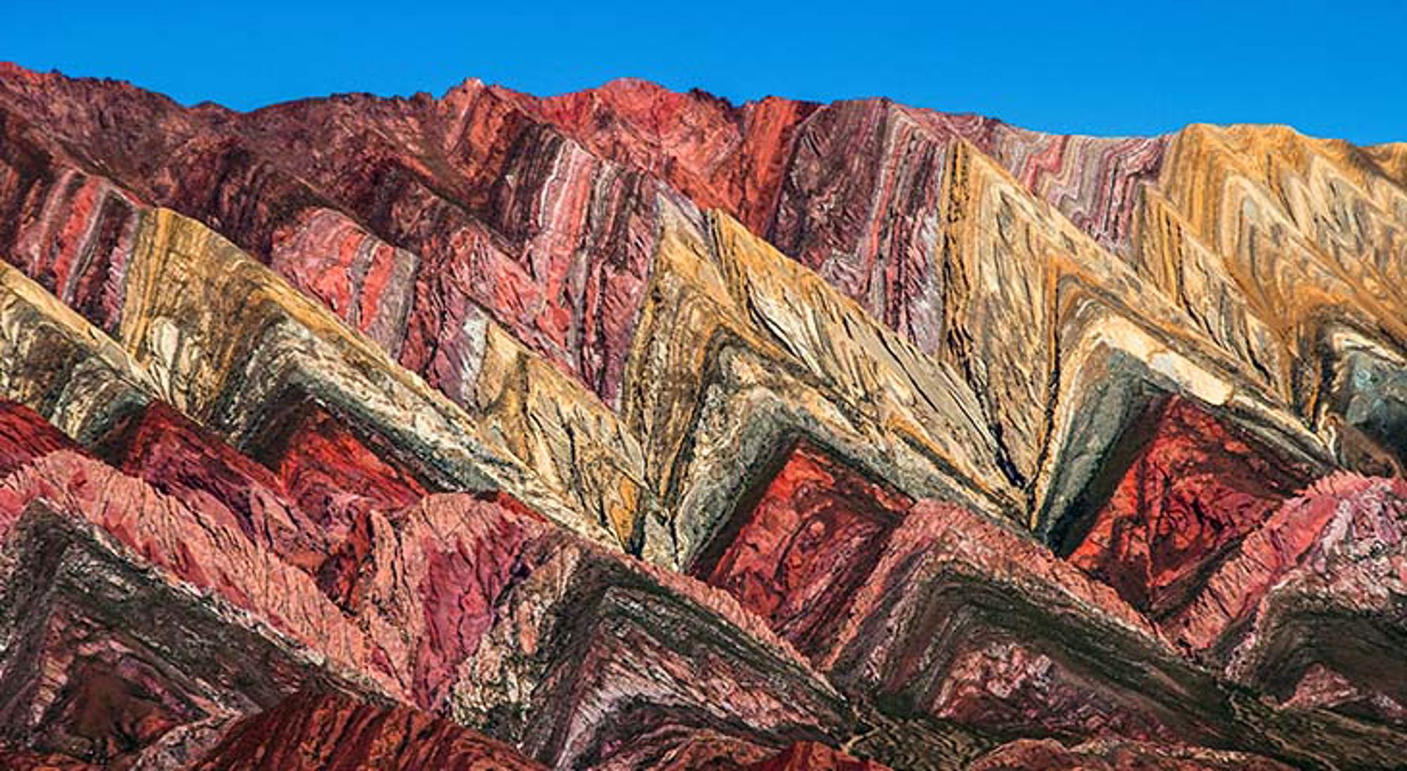 Mountains Salta Cactussen in een Argentijns woestijnlandschap.