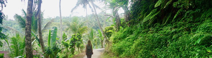 Wandelen door het groene landschap van Ubud, Bali, langs palmbomen en jungle.