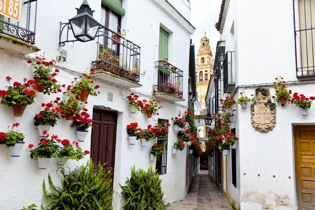 Smalle straat in Córdoba met witte huizen, bloempotten en uitzicht op de Mezquita-klokkentoren in Andalusië.