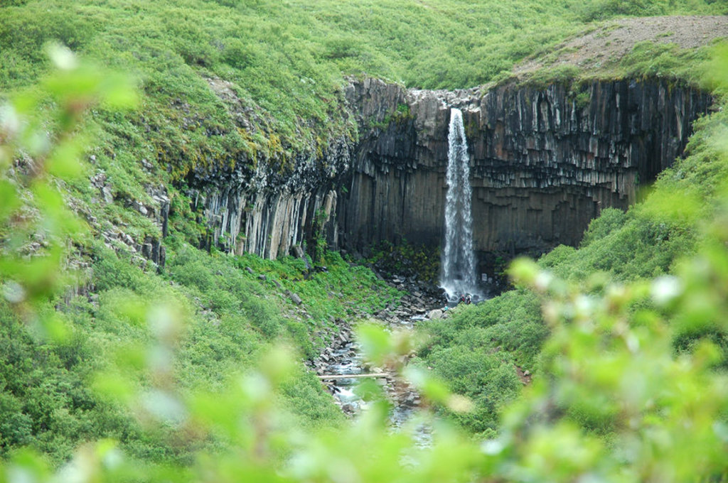Waterval in groene kloof met basaltkliffen tijdens groepsrondreis IJsland.