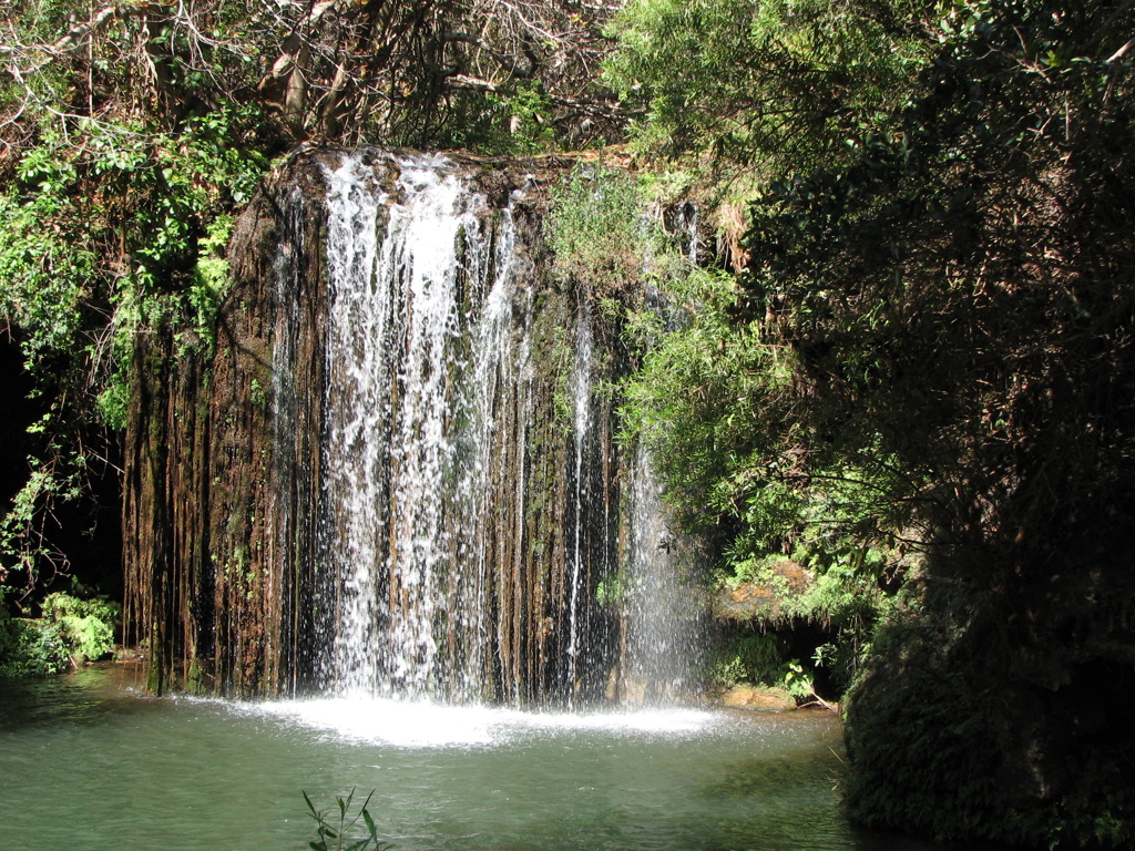Waterval in groen boslandschap tijdens fietsvakantie in Zuid-Afrika.