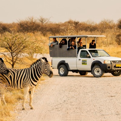 Zebra’s langs de weg bij een safariwagen tijdens een groepsrondreis Zuidelijk Afrika kampeerreis.