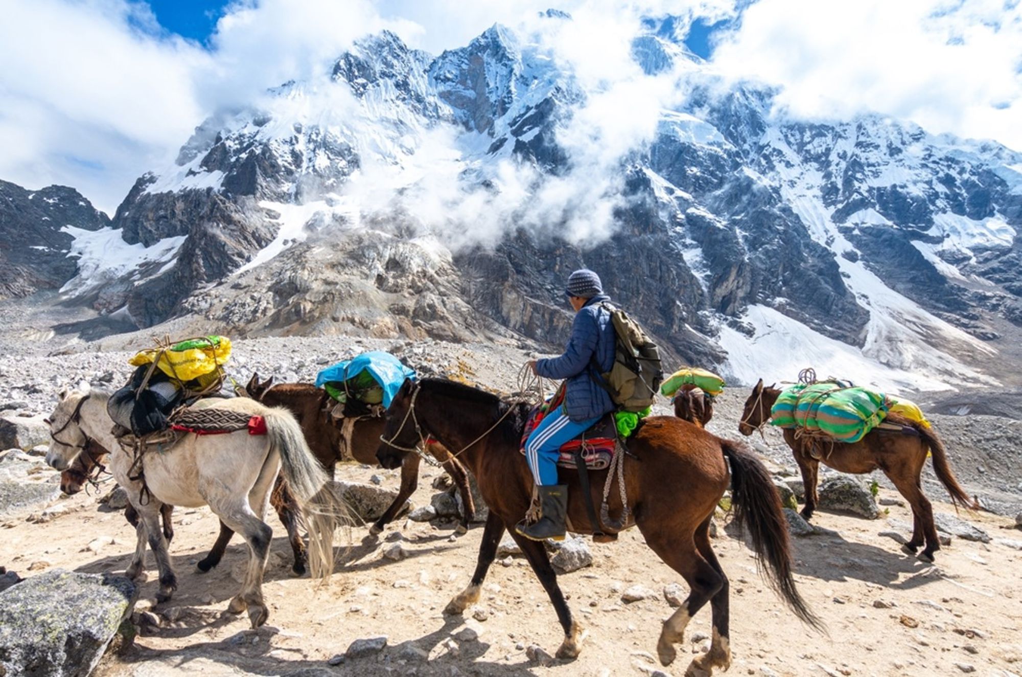 Muildieren met bagage en ruiter op bergpad in de Peruaanse Andes, met besneeuwde toppen op de achtergrond.