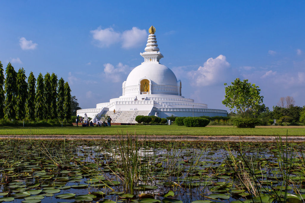 Witte Vredespagode in Lumbini met vijver vol waterlelies, tijdens groepsrondreis Noord-India en Nepal.