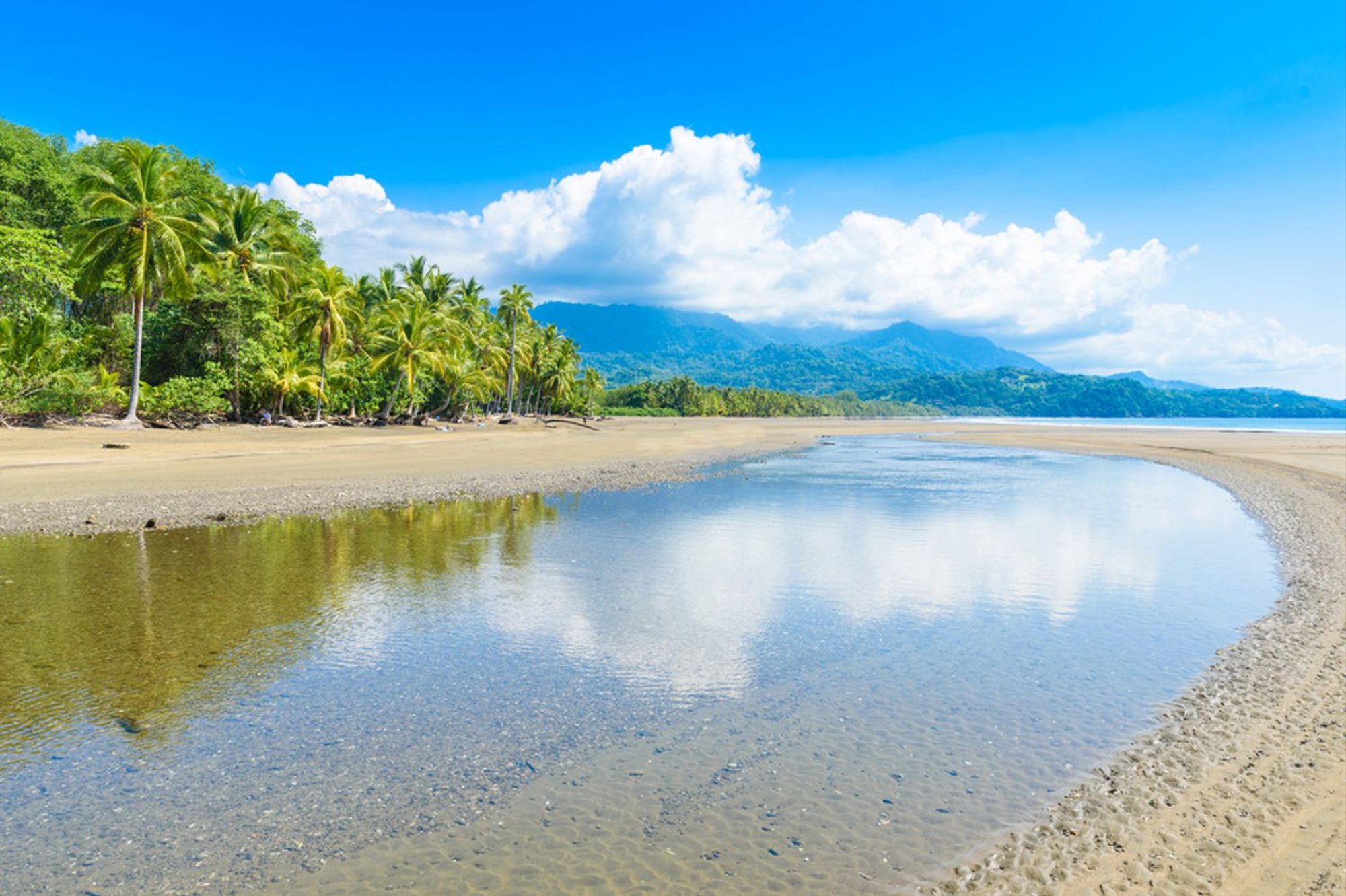 Tropisch strand met palmbomen en lagune aan de kust van Costa Rica, met bergen op de achtergrond.