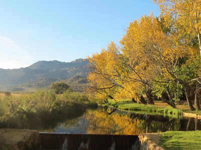 Driehoek Guest Farm